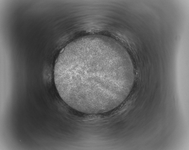 X0000103221012200809181459