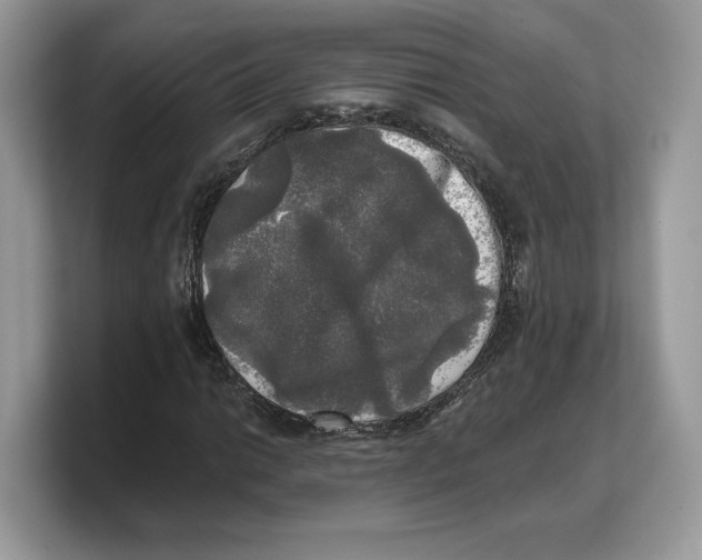 X0000103221014200809181459