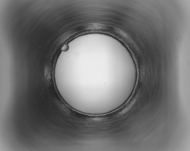 X0000103221017200809181459