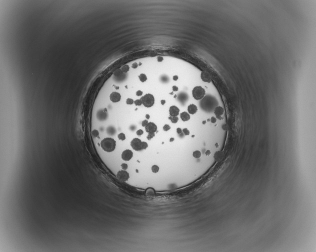 X0000103221018200809181459