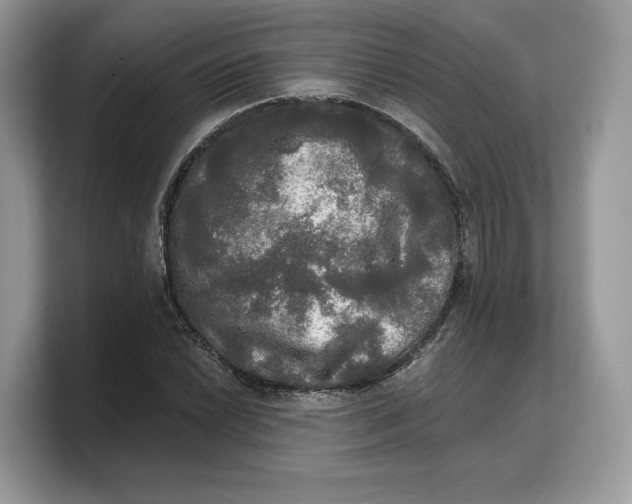 X0000103221022200809181459