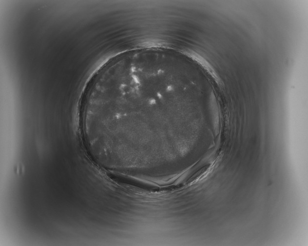 X0000103221023200809181459