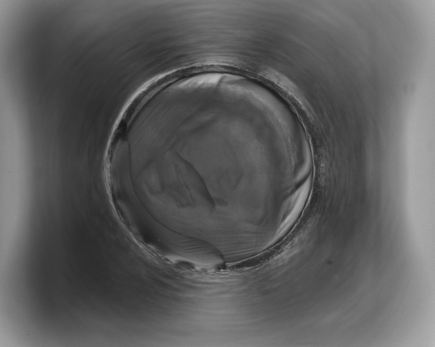 X0000103221024200809181459