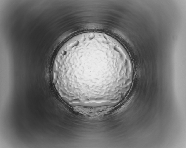 X0000103221025200809181459