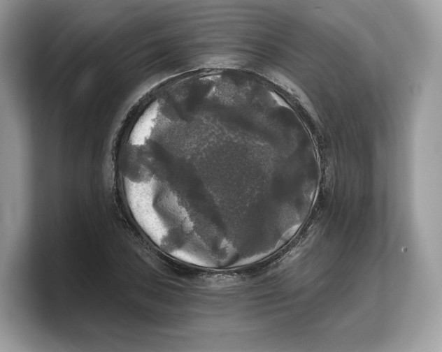 X0000103221027200809181459