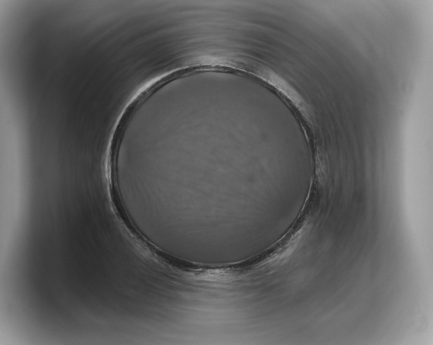 X0000103221028200809181459