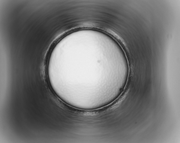 X0000103221029200809181459