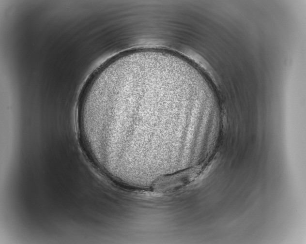 X0000103221030200809181459