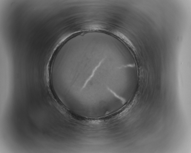 X0000103221031200809181459