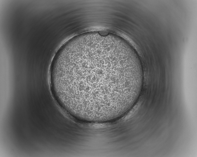 X0000103221034200809181459