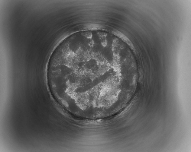 X0000103221039200809181459