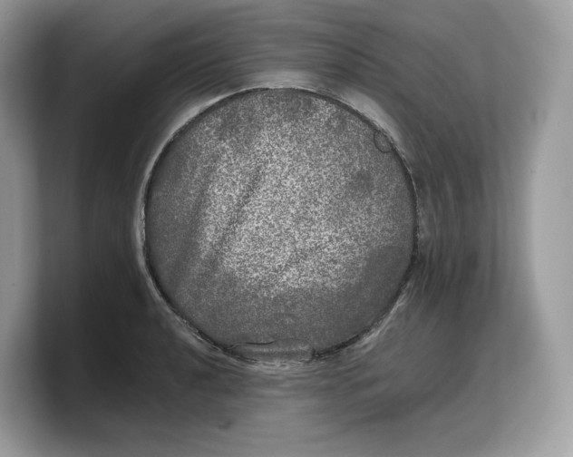 X0000103221040200809181459