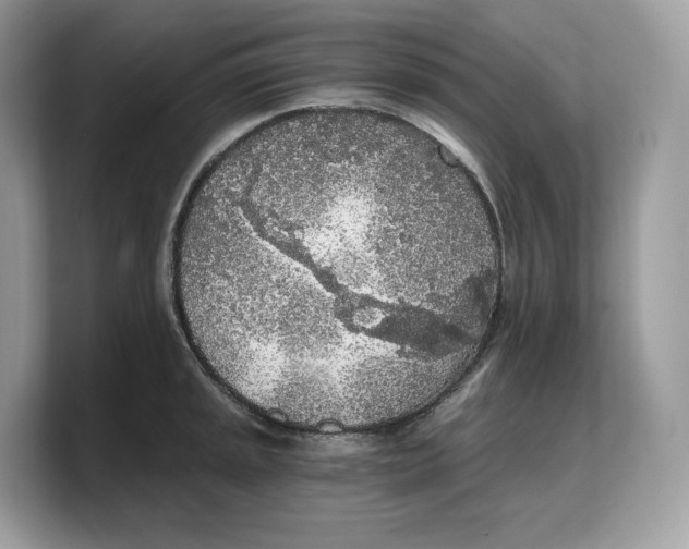 X0000103221045200809181500