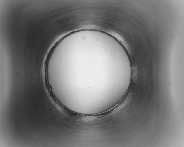 X0000103221046200809181500