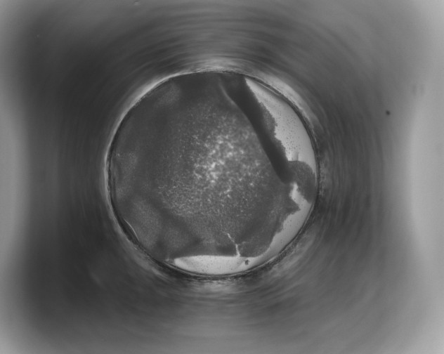 X0000103221047200809181500