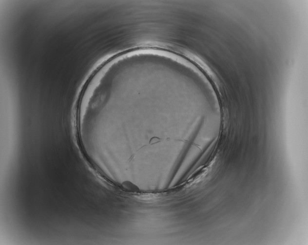 X0000103221048200809181500