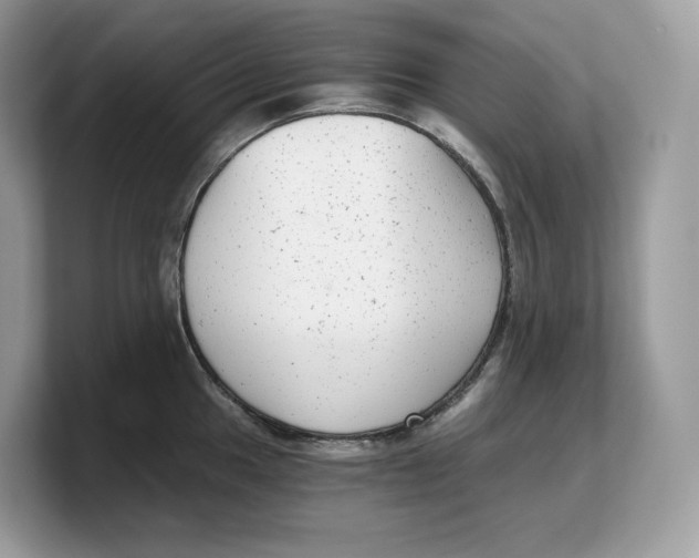 X0000103221049200809181500