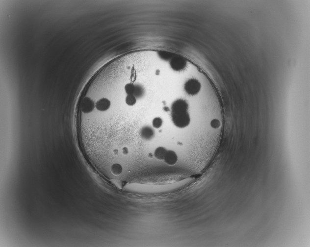 X0000103221050200809181500