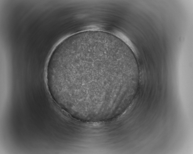 X0000103221051200809181500