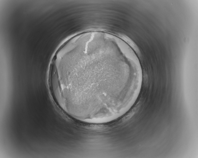 X0000103221052200809181500