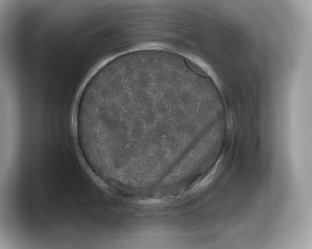 X0000103221054200809181500