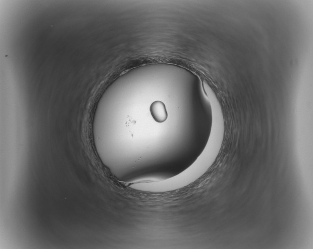 X0000103221057200809181459