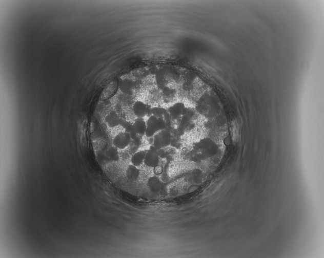 X0000103221059200809181459