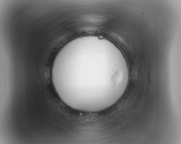 X0000103221062200809181459