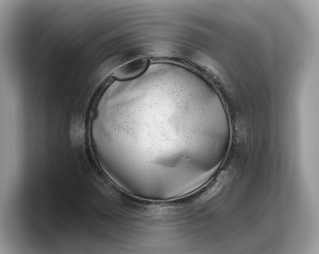 X0000103221065200809181459