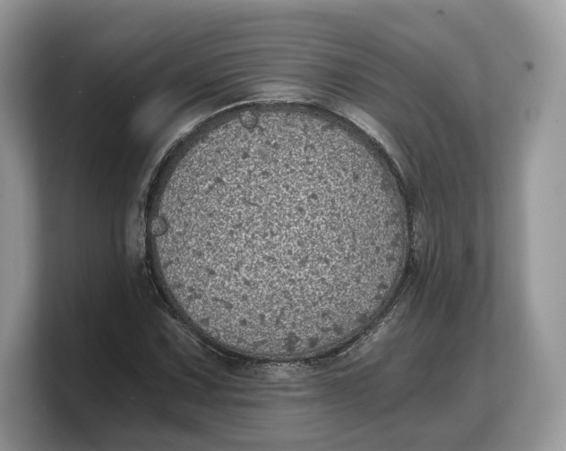 X0000103221067200809181459