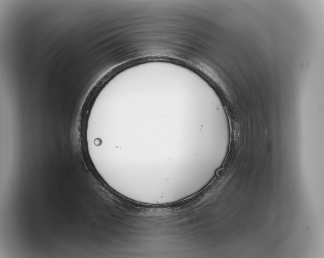 X0000103221068200809181459