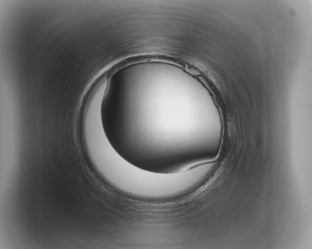 X0000103221069200809181459