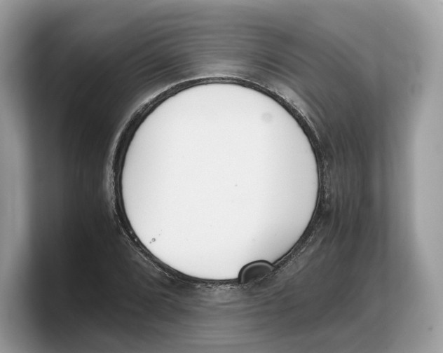 X0000103221072200809181459