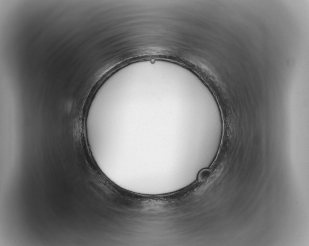 X0000103221073200809181459