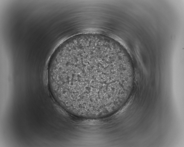 X0000103221075200809181459