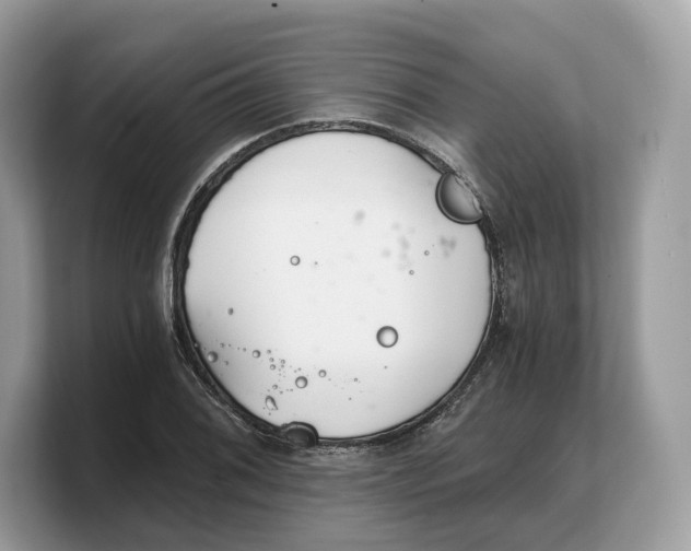 X0000103221076200809181459