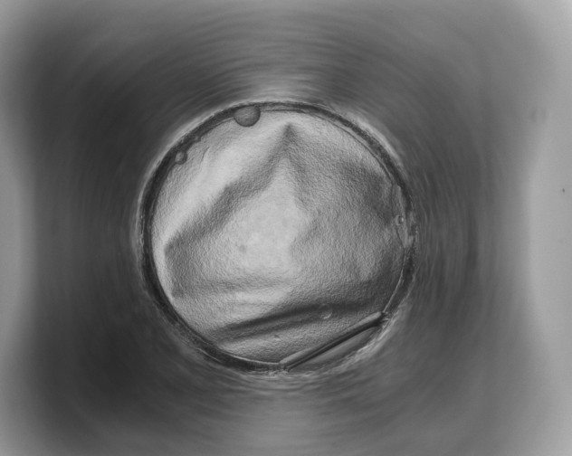 X0000103221077200809181459