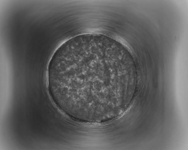 X0000103221079200809181459