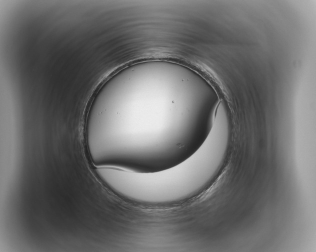 X0000103221081200809181459