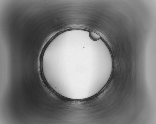 X0000103221082200809181459