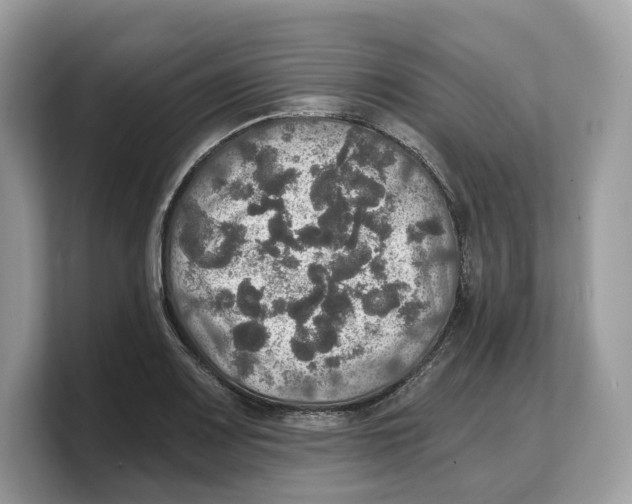 X0000103221083200809181459