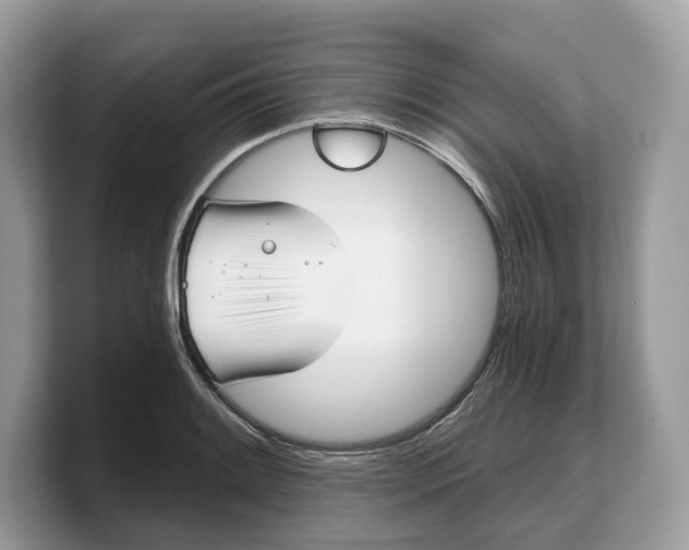 X0000103221084200809181459