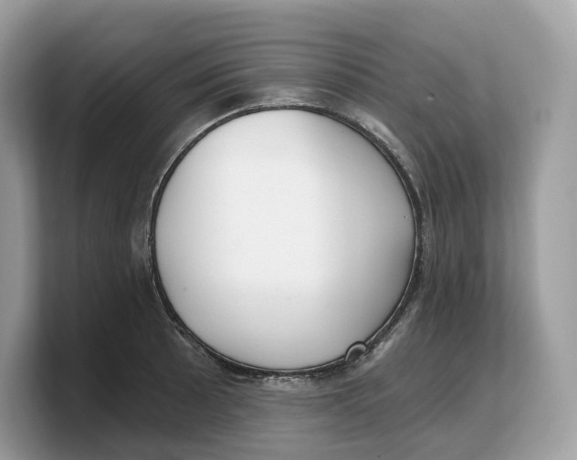 X0000103221089200809181459