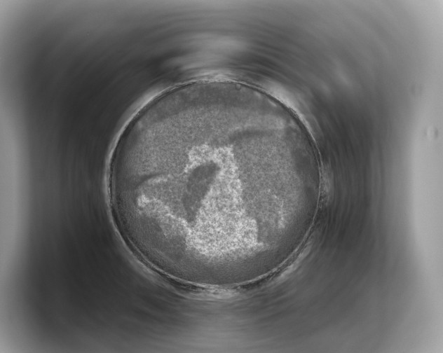 X0000103221090200809181459