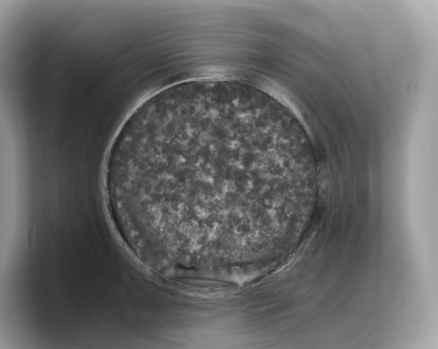 X0000103221091200809181459