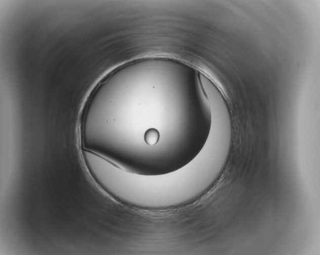 X0000103221092200809181459