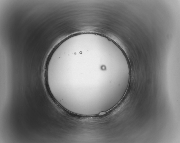 X0000103221093200809181459