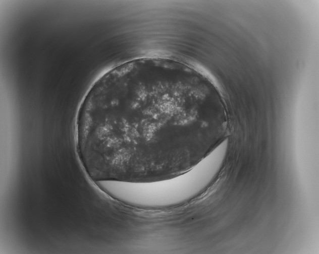 X0000103221095200809181459