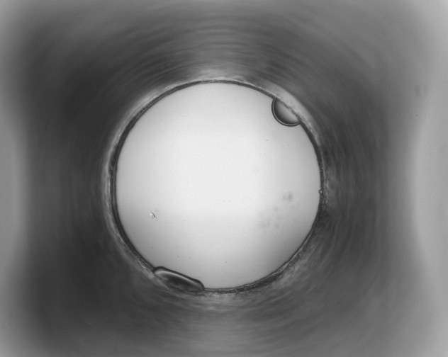 X0000103221096200809181459