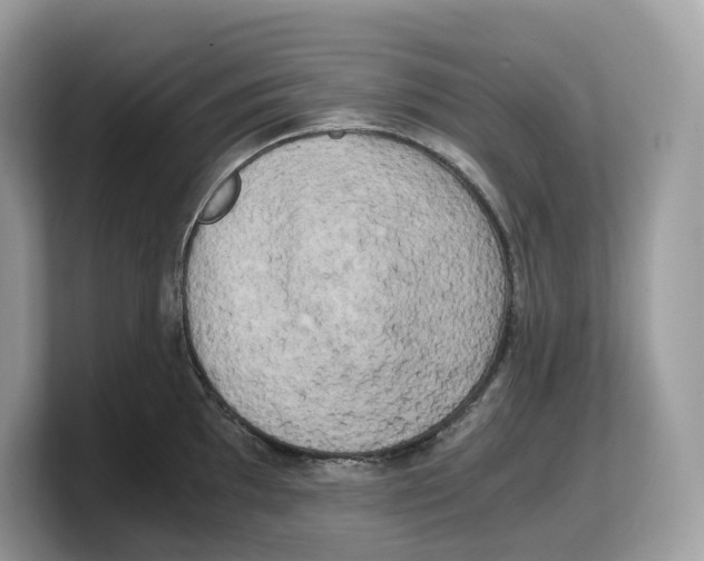 X0000103221097200809181459